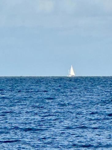 בולי Sandon Point Coastal Cottage מראה חיצוני תמונה